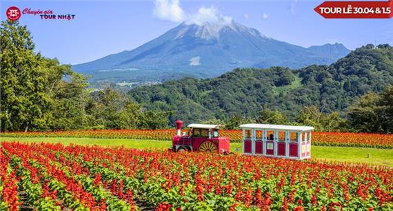 Tour Nhật Bản Lễ 30/4: Khám Phá Shimane - Hiroshima